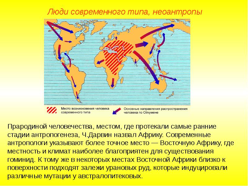 Появление человека разумного презентация