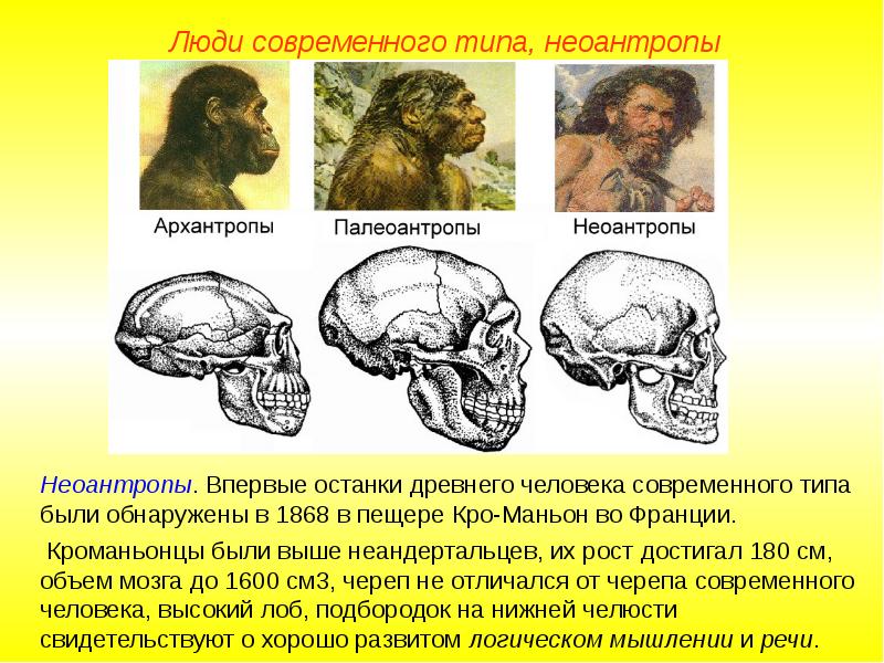 Появление человека разумного презентация