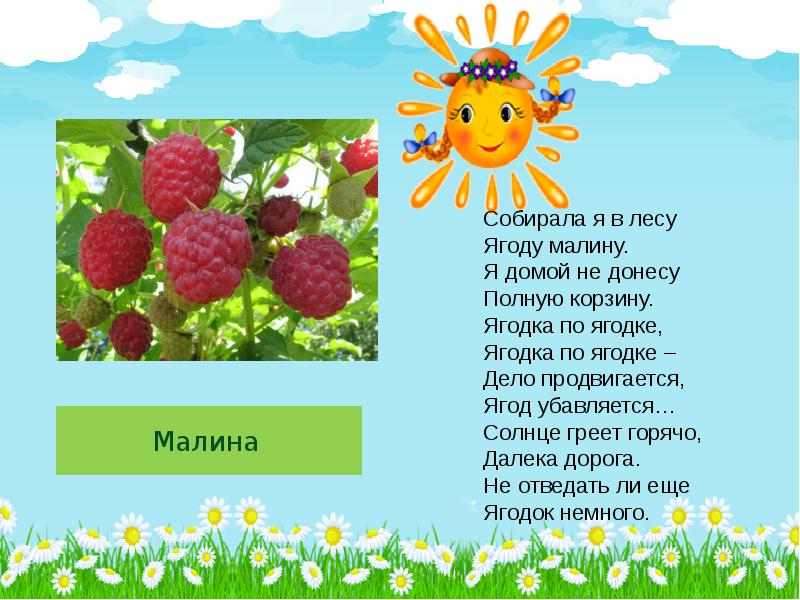 Песня про ягодку. Стих про малину. Стихи про летние ягоды. Стих про малину для детей. Лето ягоды стихи.