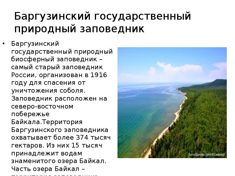 На территории какого заповедника. Заповедники России Баргузинский заповедник. Заповедники России доклад. Сообщение о заповеднике. Сообщение о заповеднике России.