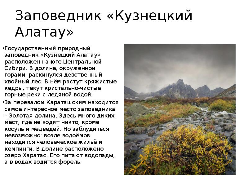 Тема заповедник. Доклад о заповеднике. Заповедники РФ сообщение. Заповедники России доклад. Маленький рассказ о заповеднике.