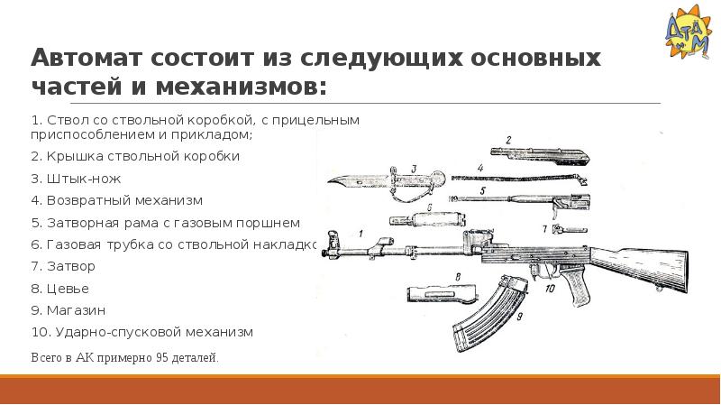 Назовите основные части