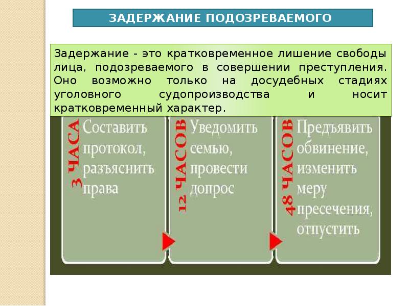 Меры процессуального принуждения презентация