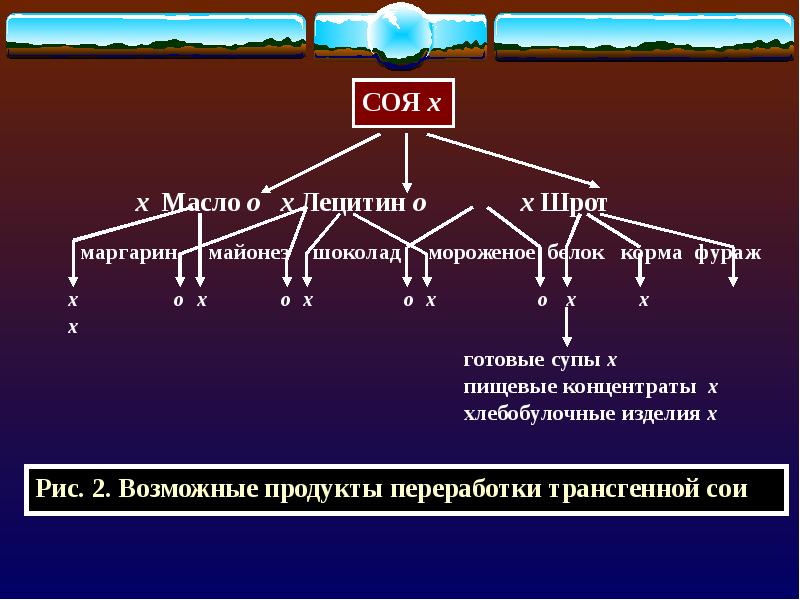 2 возможные. Пищевая сеть.