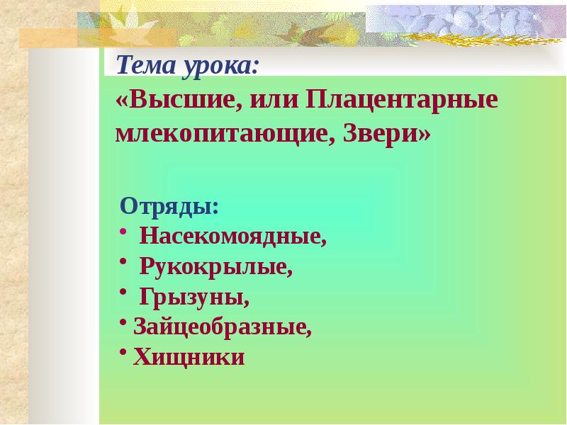 Высшие или плацентарные звери презентация 7 класс