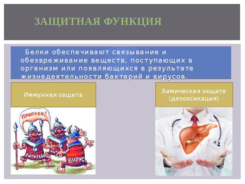 Защитная функция белков это. Белки защитная функция. защитная функция белков в организме. защитная функция белков состоит в. функции белков защитная функция.