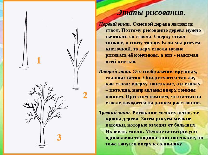 Как правильно рисовать дерево в детском саду в старшей группе