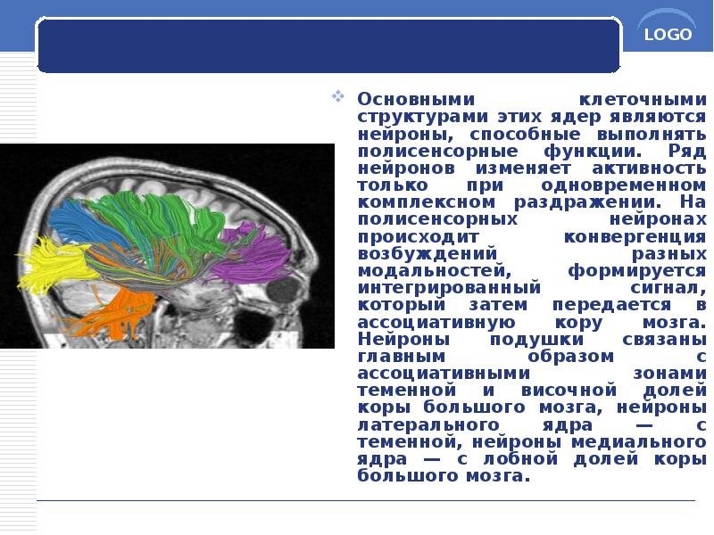 Основными клеточными структурами этих ядер являются нейроны, способные выполнять полисенсорные функции. Основными клеточными структурами этих ядер являются нейроны, способные выполнять полисенсорные функции.