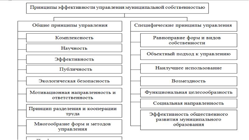 Презентация управление муниципальными финансами