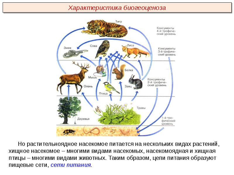 Презентация на тему экосистемы казахстана