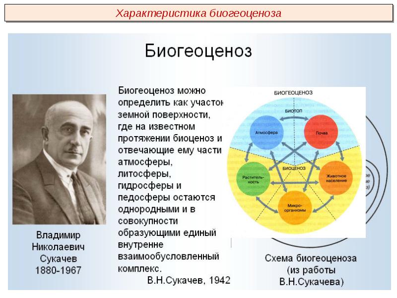 Сообщество экосистема биогеоценоз 9 класс презентация