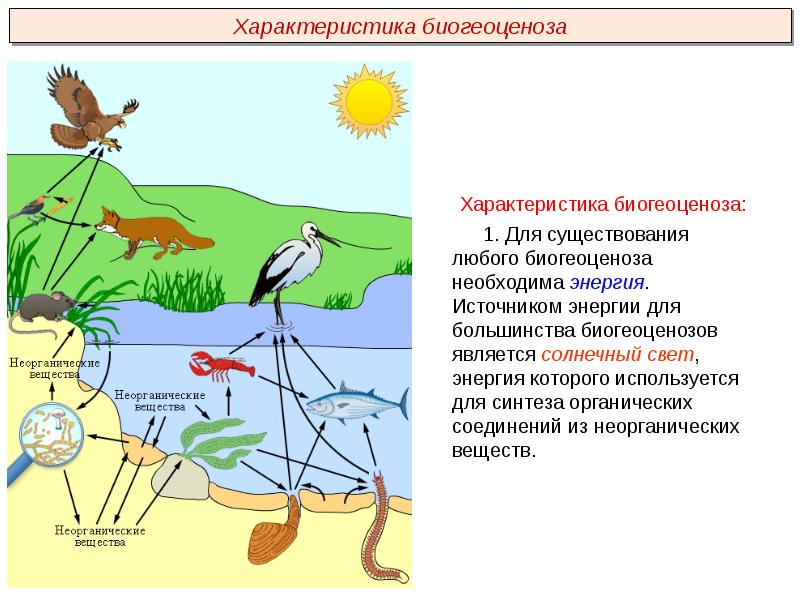 Презентация на тему экосистемы казахстана