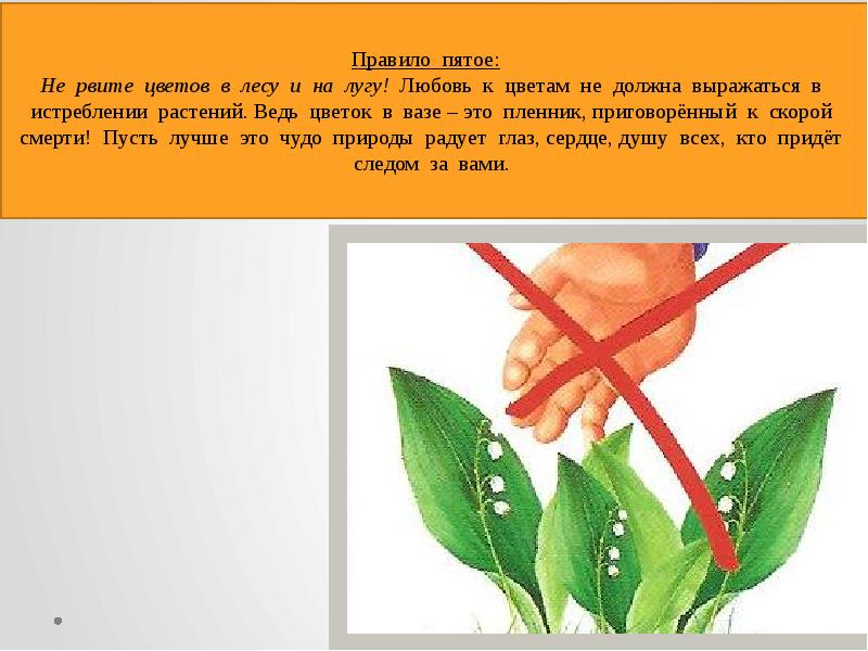 Войдем в природу другом. Кл.час:» войди в природу другом».. Войди в природу другом. Проект войди в природу другом. Войди в природу.