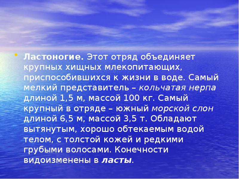 Самый мелкий представитель. Объективная реальность это в философии определение. Объективной реальности не существует. Объективная реальность существующая вне нашего сознания это. Объективного не существует кто считал.