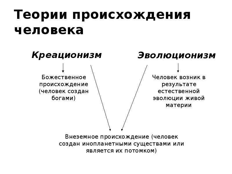 Гипотезы происхождения человека проект