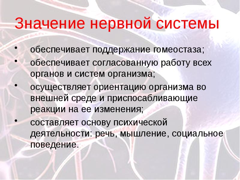 По которое обеспечивает согласованную работу всех узлов компьютера