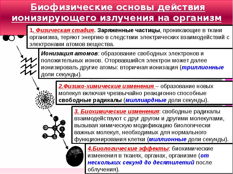 Презентация физика ионизирующее излучение