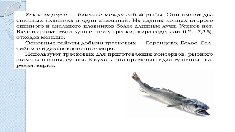 Используя рисунки в тексте параграфа расскажите о значении промысловых рыб для человека