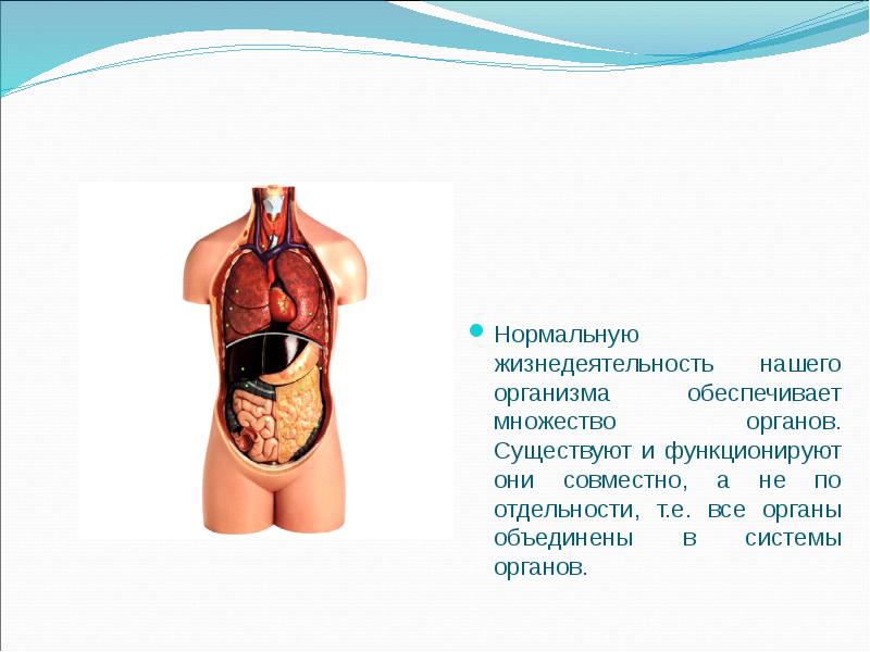 Нормальное функционирование организма