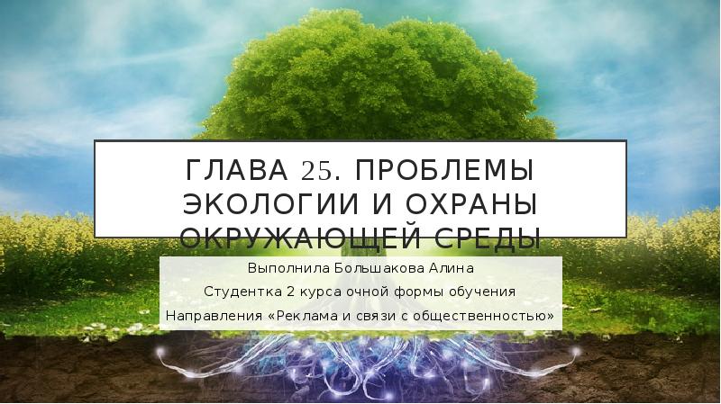 25 проблем. Экологии проблемы планеты тебе известны. Какие свои экологические проблемы планеты тебе известны. Работа с общественностью по экологии. Вопросы экологии оернбург.