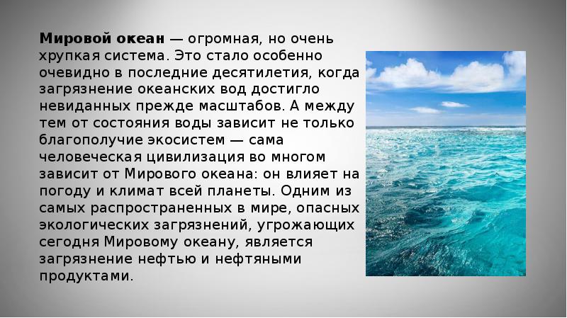 Нефтяное загрязнение мирового океана проект