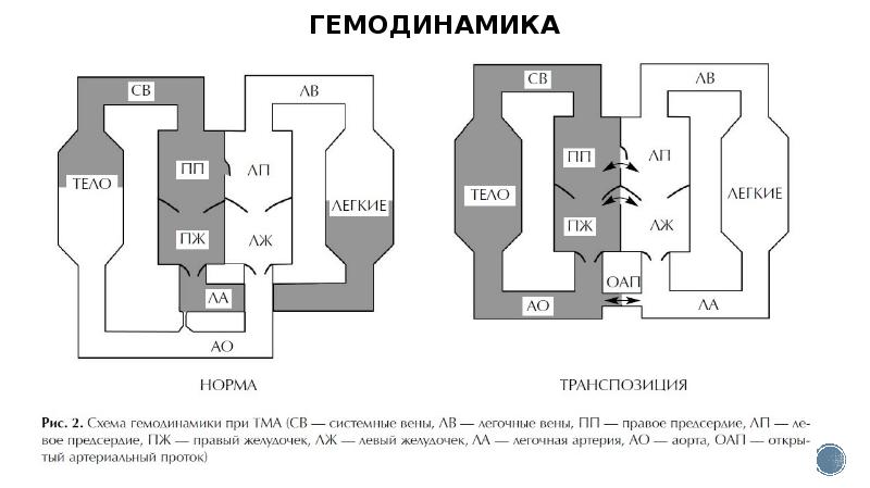 Схема больницы мечникова на пискаревском 47