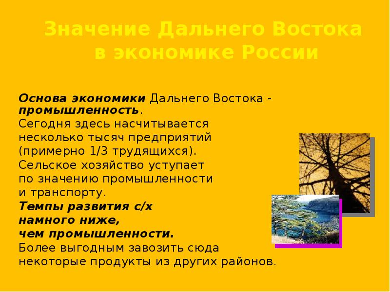 Дальний восток хозяйство презентация 9 класс полярная звезда география