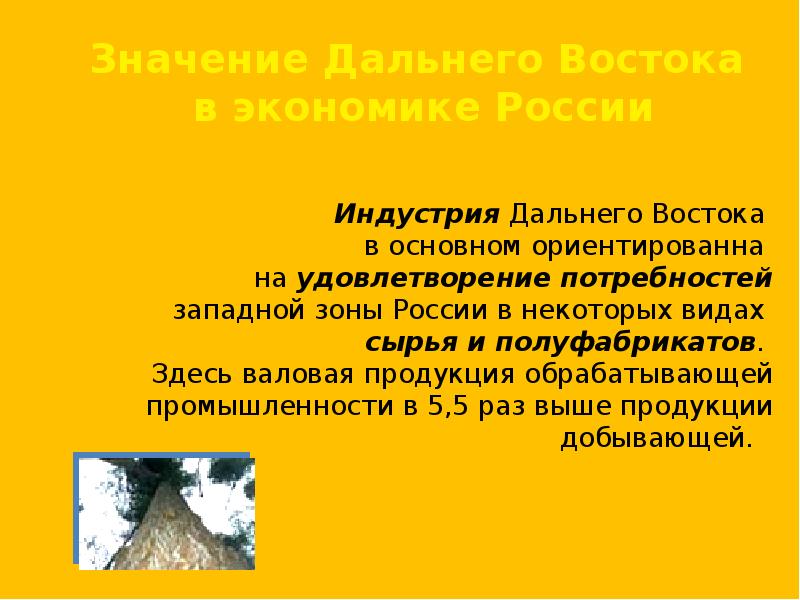 Далекий значить. Значение дальнего Востока в экономике России. Значение дальнего Востока. Значимость дальнего Востока. Важность дальнего Востока для России.