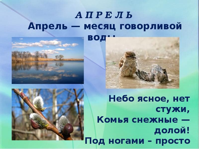 Весенние изменения в природе 1 класс. Весенние изменения в природе.