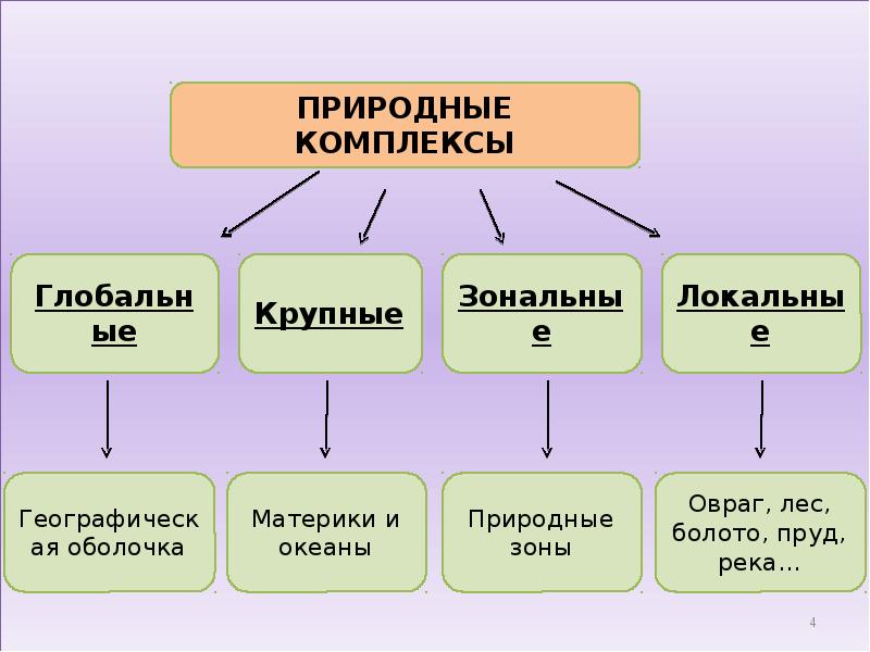 Природный комплекс географическая оболочка