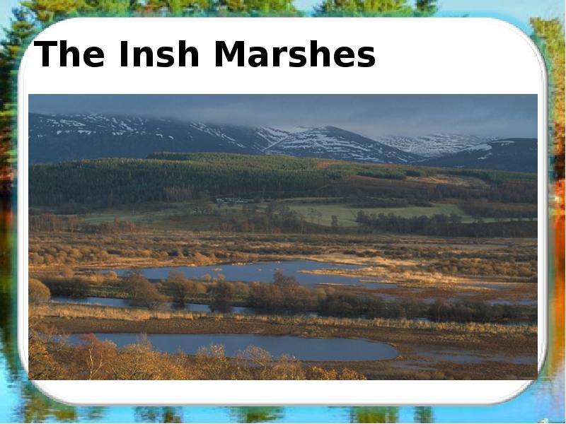 The Insh Marshes The Insh Marshes