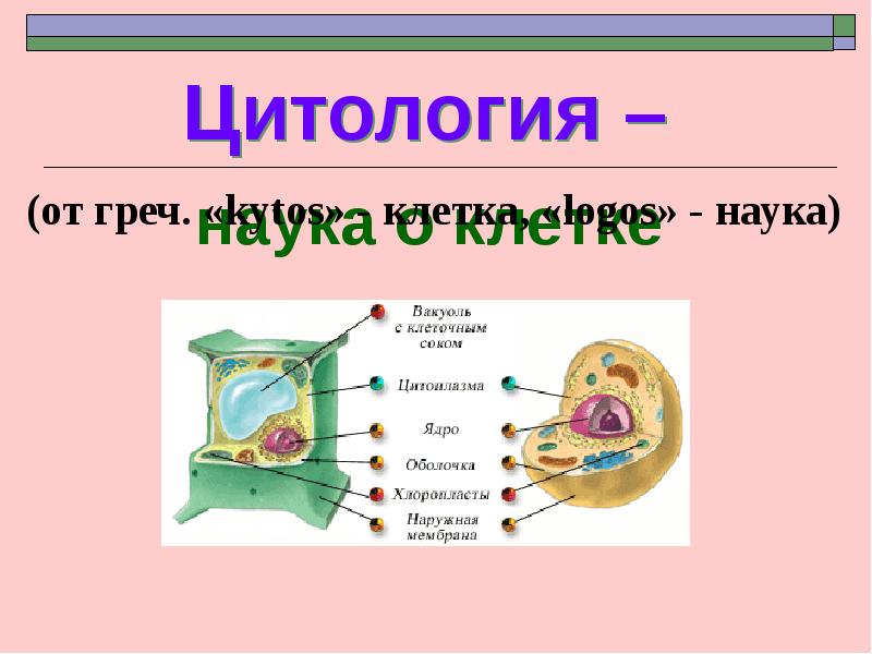 Цитология наука о клетке презентация 9 класс