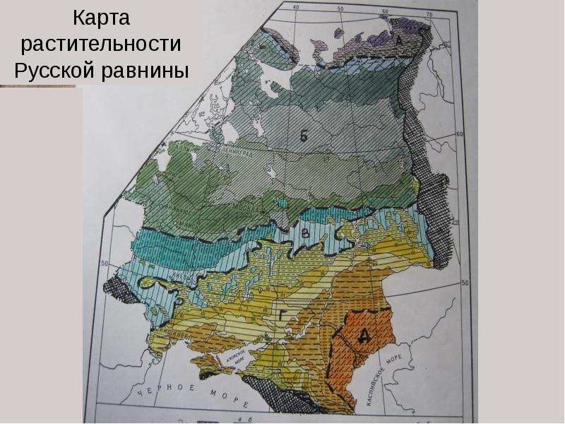 Положение восточно европейской равнины в природных зонах