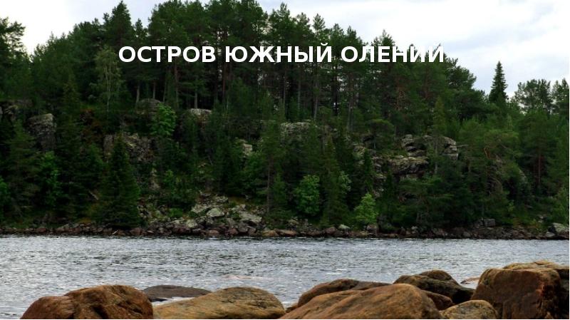Остров Южный Олений Остров Южный Олений
