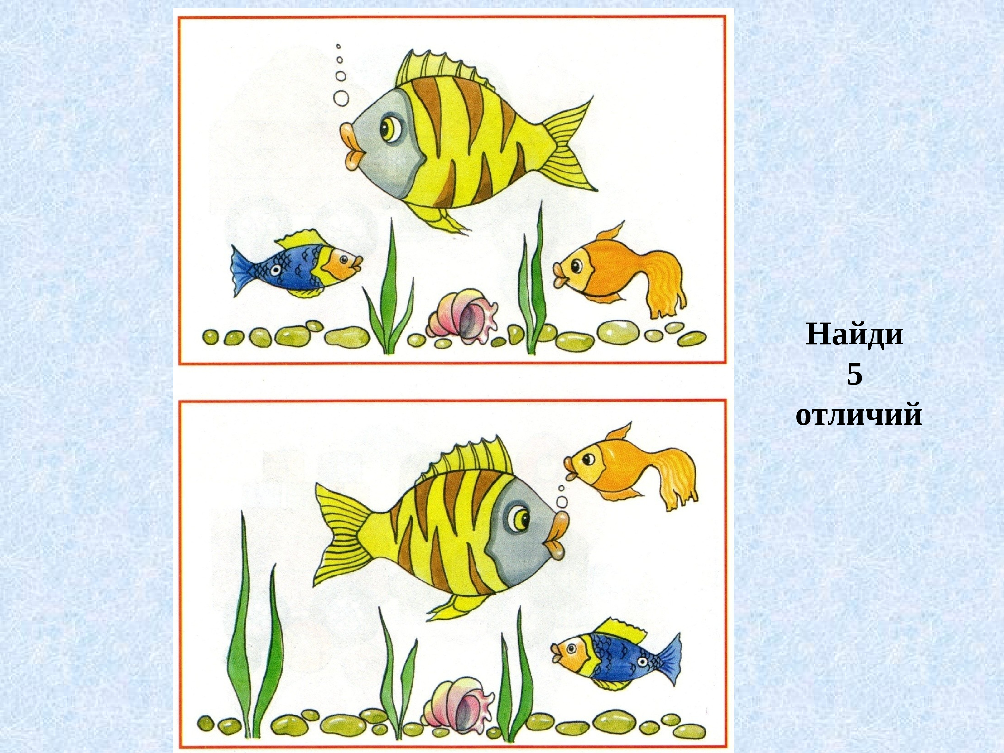 Найди 5 отличай. Найди отличия для дошкольников. Аквариумные рыбки задания для дошкольников. Найди отличие для детей 4 лет. Задания для детей на тему рыбы.