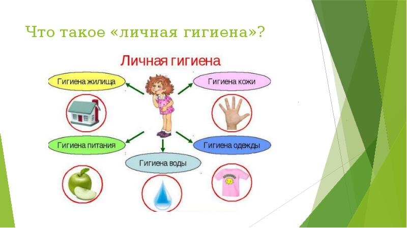 Презентация по теме личная гигиена