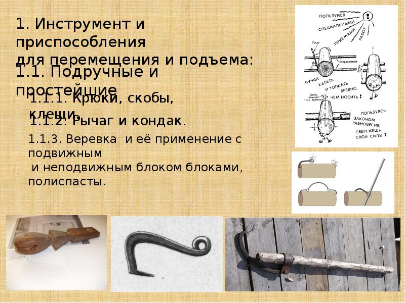 параллелизм примеры биология. понятие эволюции органического мира. конвергенция в эволюции. последовательность формирования приспособленности к условиям. эволюция развитие и приспособление.