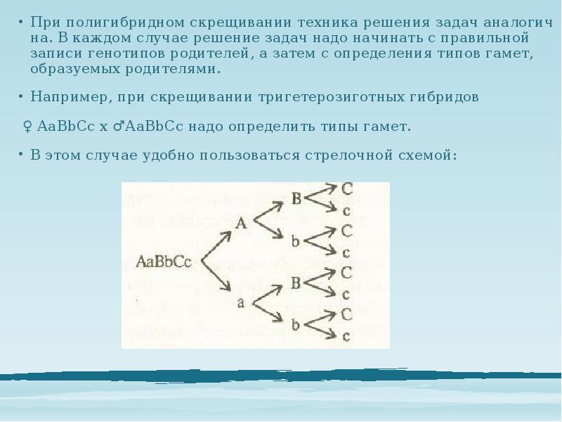 Полигибридное скрещивание определение. Ди и полигибридное скрещивание. Полигибридное скрещивание. Полимерия при полигибридном скрещивании.