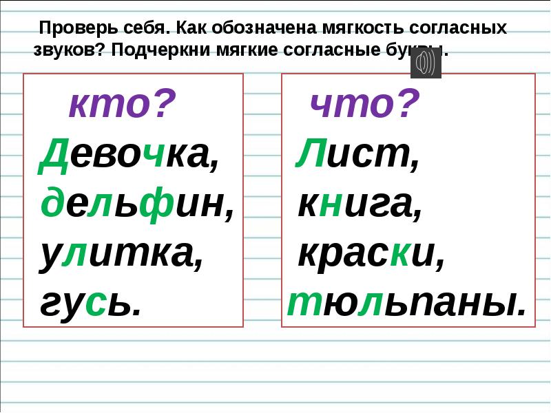 Обозначение мягкости согласных звуков на письме презентация