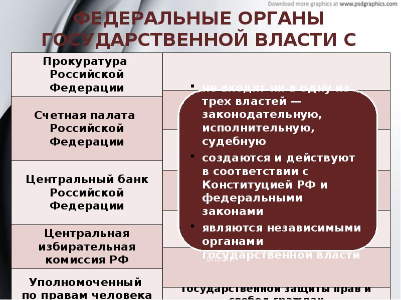 Обществознание глава