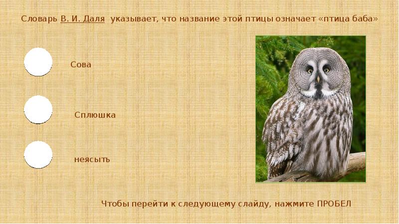 Имя означающее птицу