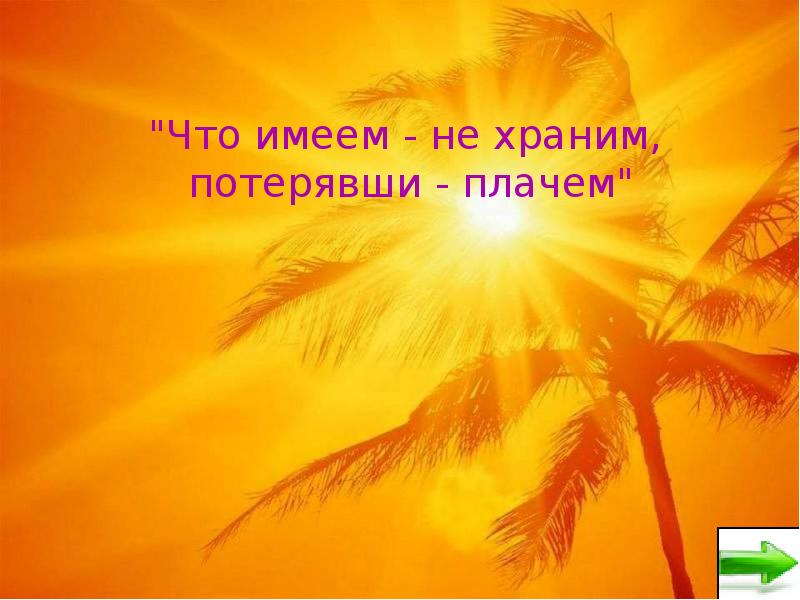 Что имеем не храним. Что имеем,не храним потеряя плачем. Имея не храним потерявши плачем. Что имеем не храним потерявши. Что имеем не храним потерявши плачем пословица.