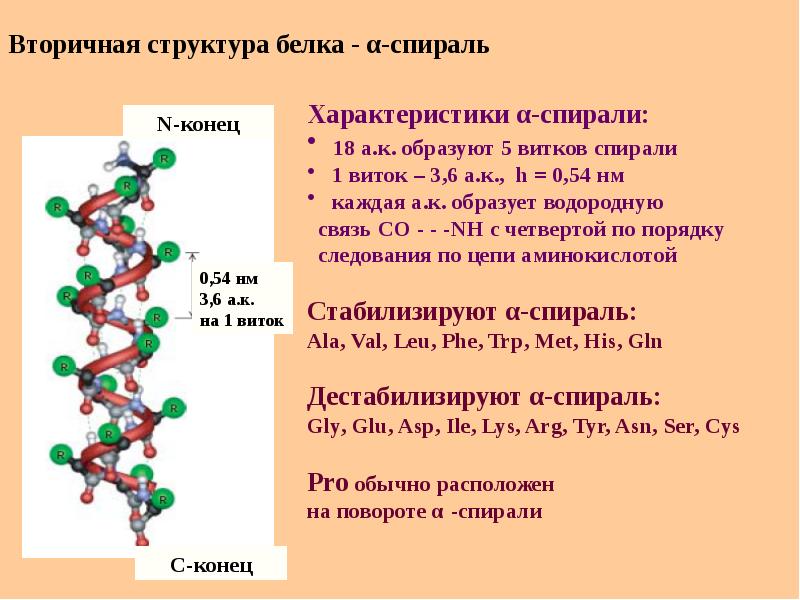 Признаки молекул белков. Строение вторичной структуры белка. Первичная и вторичная структура белка биохимия. Механизм образования вторичной структуры белка. Вторичная структура белка дестабилизации.