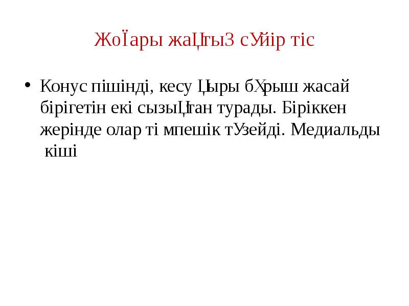 Жоғары жақтың сүйір тіс
Конус пішінді, кесу қыры бұрыш жасай бірігетін Жоғары жақтың сүйір тіс
Конус пішінді, кесу қыры бұрыш жасай бірігетін