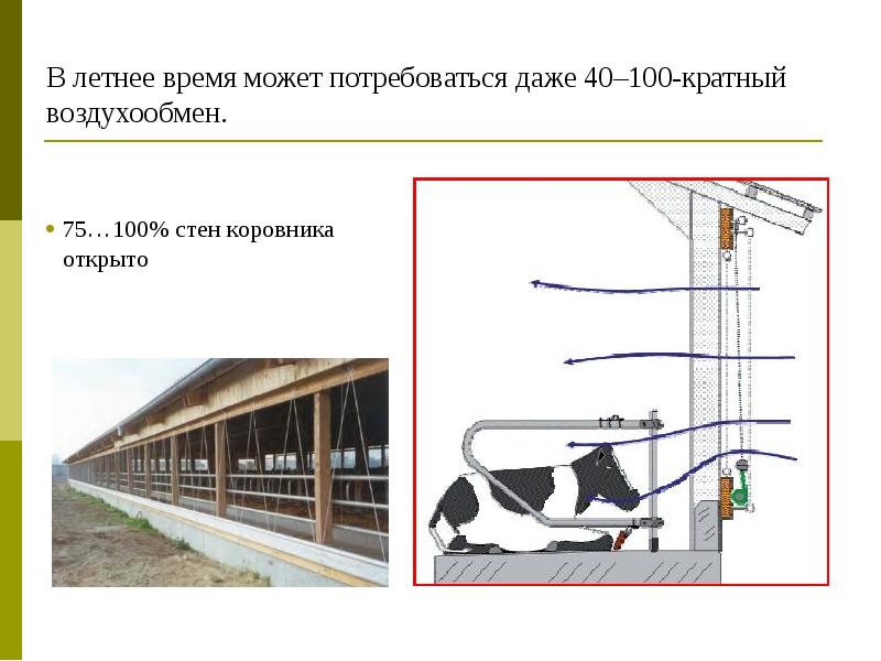 Содержание животных 6 класс технология презентация