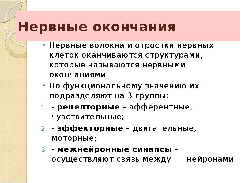 Нервная называть. Нервные окончания. Классификация нервных окончаний. Классификация нервных окончаний гистология. Функции нервных окончаний.