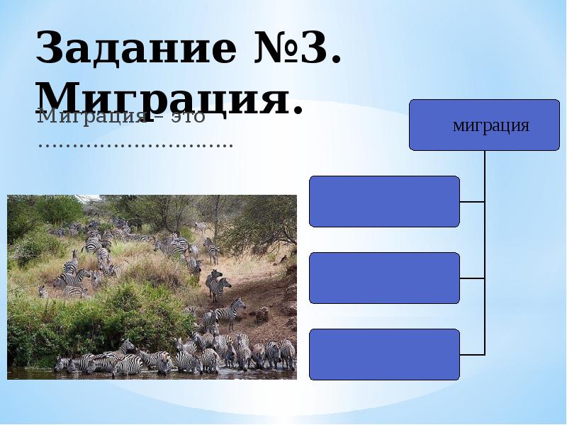 Ареалы обитания миграции закономерности размещения животных презентация