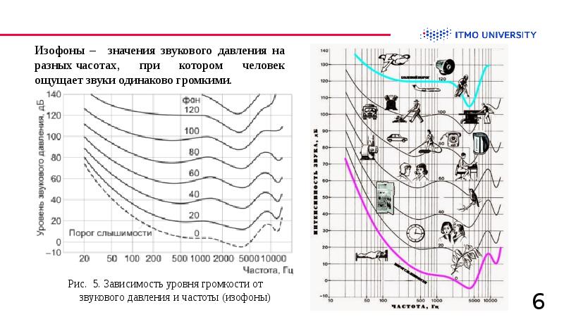 Слуховой анализатор и восприятие звука