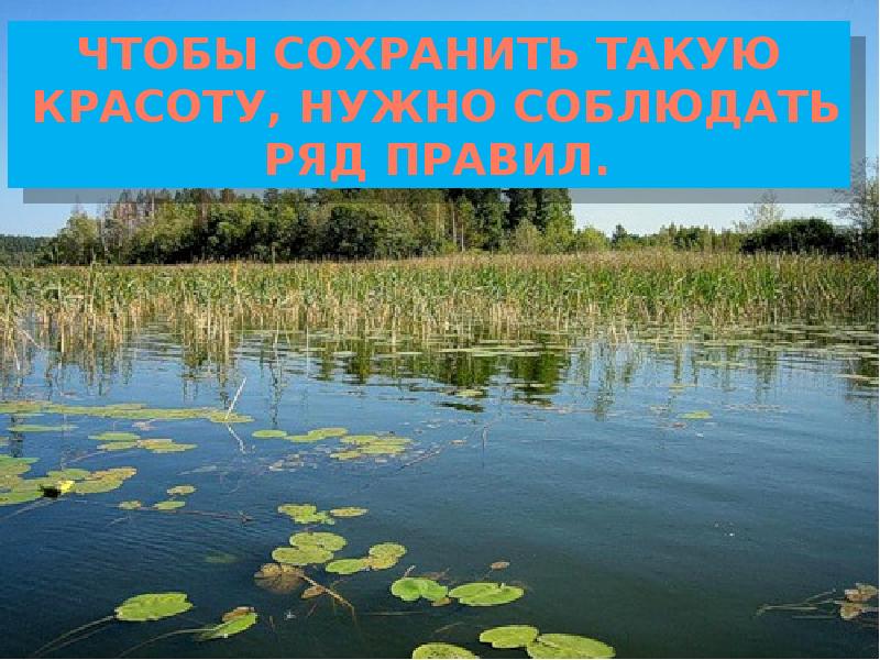 Благоприятную для жизни среду в водоёме. Volna org