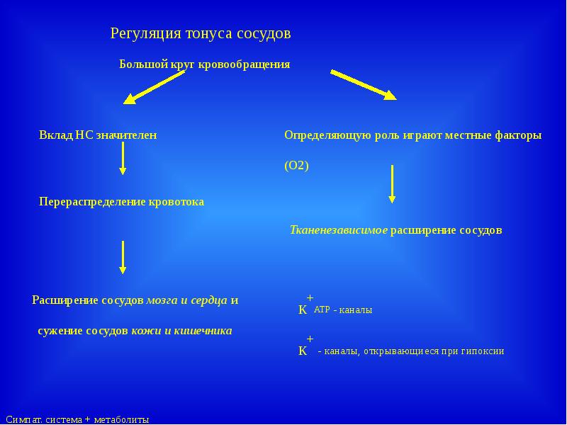 Адаптация организма к гипоксии презентация